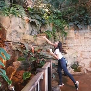 Meet your Posher, Sewon